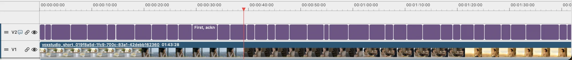 A caption track (V2) full of caption clips above the video and audio tracks, with the playhead at 39 seconds.