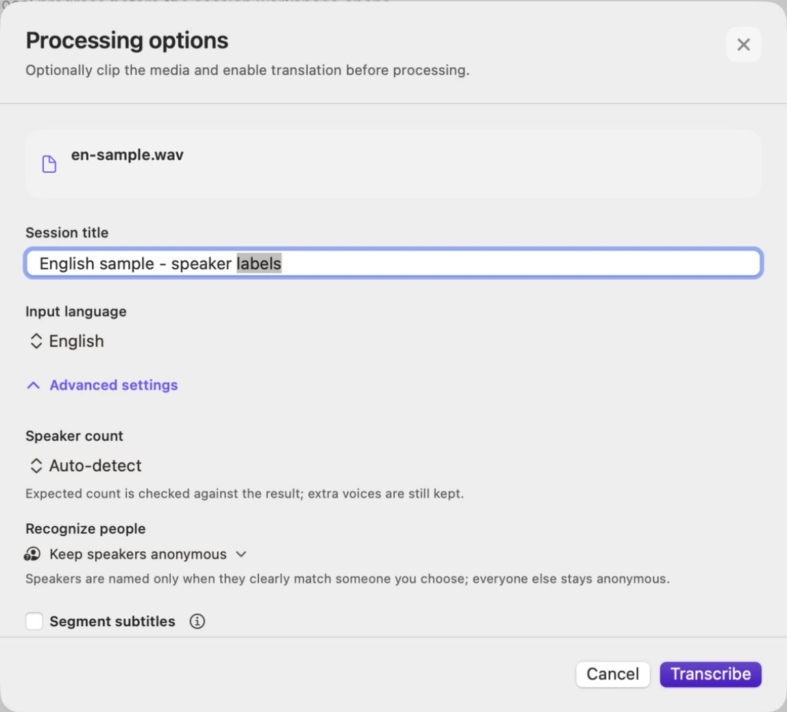 Processing options window with English selected, Speaker count on Auto-detect, Keep speakers anonymous and Segment subtitles unchecked