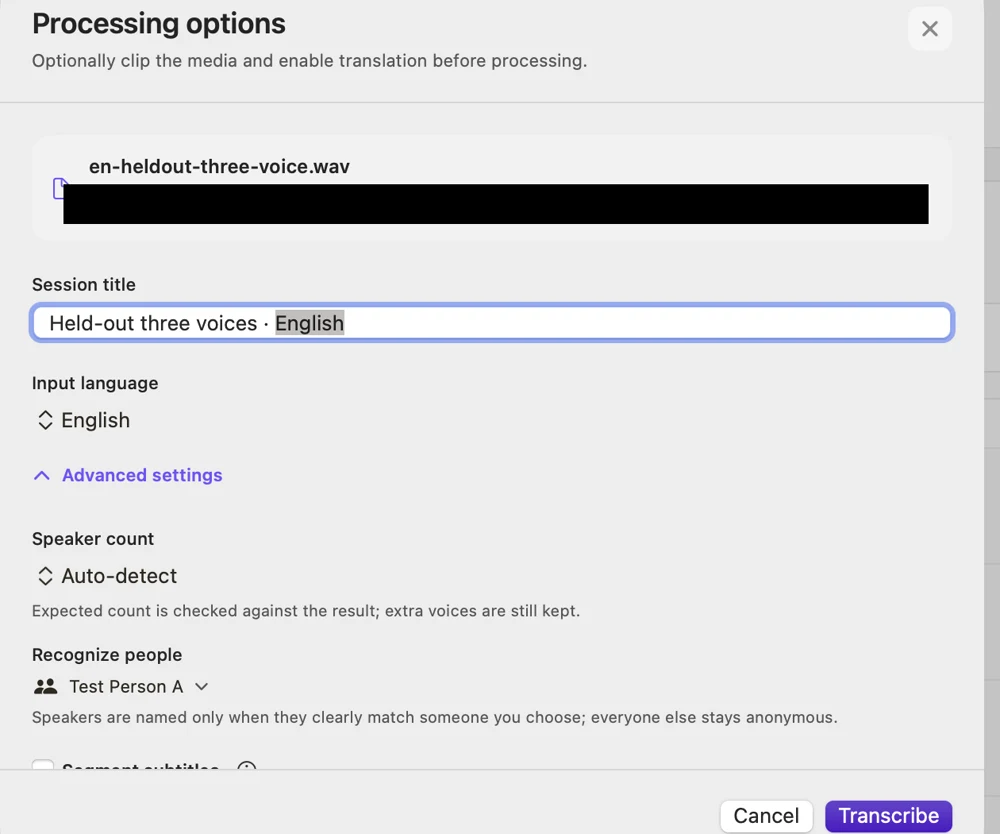 Processing options with Recognize people set to Test Person A, Speaker count on Auto-detect and English as the input language